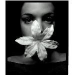 blossom01.jpg
Poet zobrazen: 2384 (6516.2291 dn) pr.=0.3659
Rozmr: 343 x 402 pixel
Velikost: 38.21 kB
