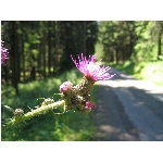 m144_4466.jpg
Poet zobrazen: 3389 (6529.7431 dn) pr.=0.5190
Rozmr: 1600 x 1200 pixel
Velikost: 414.456 kB