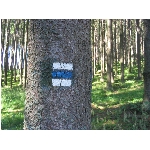 m145_4512.jpg
Poet zobrazen: 3730 (6529.7431 dn) pr.=0.5712
Rozmr: 1600 x 1200 pixel
Velikost: 679.248 kB