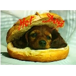 hotdog.jpg
Poet zobrazen: 3684 (6528.2365 dn) pr.=0.5643
Rozmr: 550 x 403 pixel
Velikost: 24.509 kB