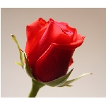if-04257.jpg
Poet zobrazen: 3329 (6532.0550 dn) pr.=0.5096
Rozmr: 350 x 300 pixel
Velikost: 14.471 kB
