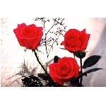 jf-02869.jpg
Poet zobrazen: 3767 (6533.5847 dn) pr.=0.5766
Rozmr: 350 x 233 pixel
Velikost: 28.413 kB